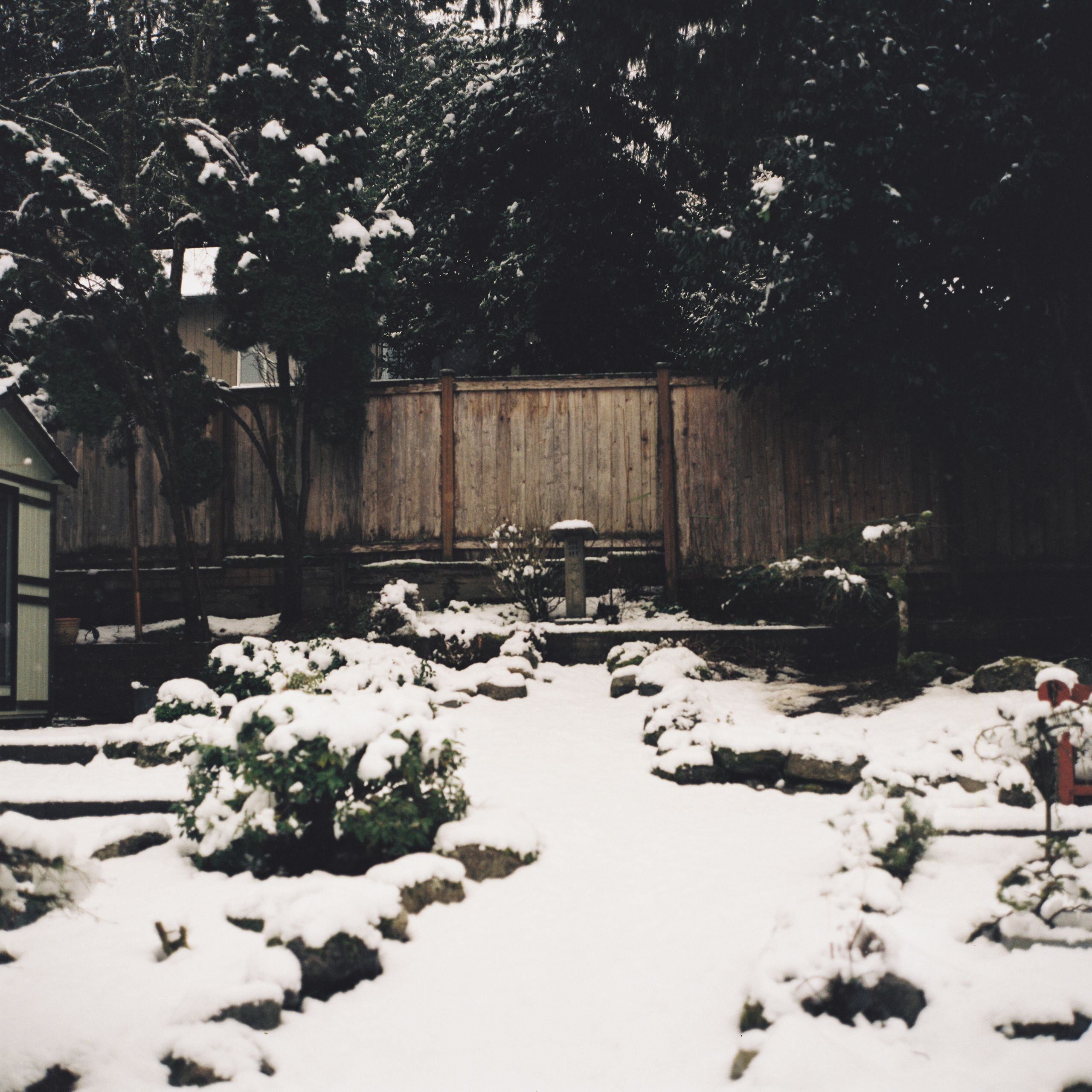 Adele's snowy back yard pt 2