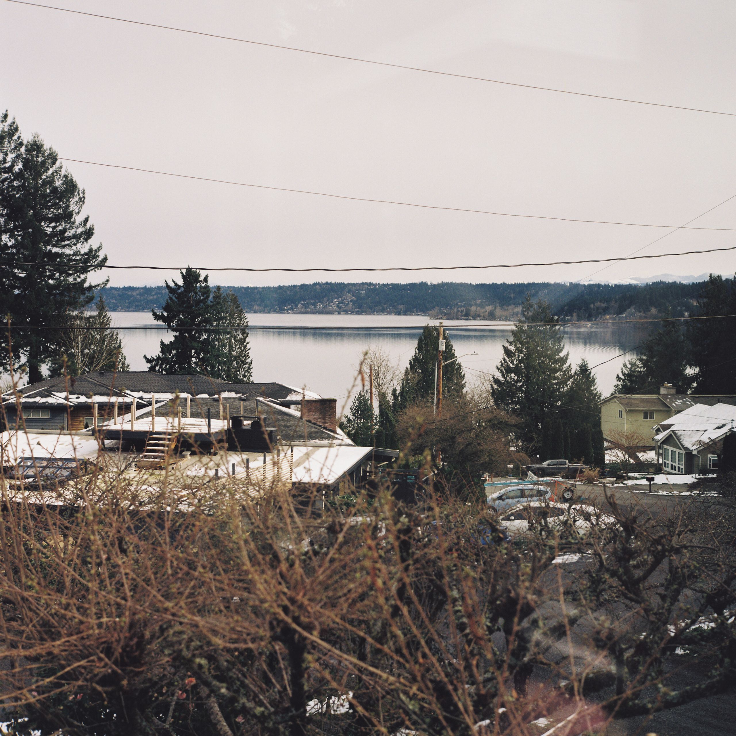 Lake view from adele's